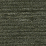 Английские обои Holland & Sherry, коллекция Docere, артикул WP2534/Nighrscape Draco