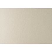 Бельгийские обои Hookedonwalls, коллекция Hidden Treasures, артикул 70103