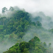 Российские обои Hygge Wall, коллекция Collection 3, артикул H10901