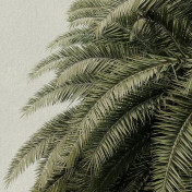 Российские обои Hygge Wall, коллекция Collection 3, артикул H11001