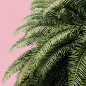 Российские обои Hygge Wall, коллекция Collection 3, артикул H11002