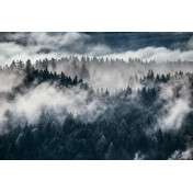 Панно Hygge Wall, коллекция Collection 4, артикул H11281