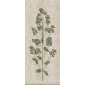 Панно Iksel, коллекция Scenic & Architectural Wallpapers, артикул Herbier Herb3