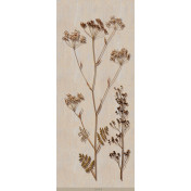 Панно Iksel, коллекция Scenic & Architectural Wallpapers, артикул Herbier Herb4