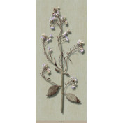 Панно Iksel, коллекция Scenic & Architectural Wallpapers, артикул Herbier Herb7