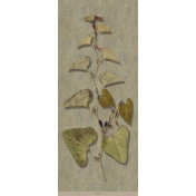 Панно Iksel, коллекция Scenic & Architectural Wallpapers, артикул Herbier Herb9