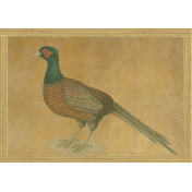 Панно Iksel, коллекция Scenic & Architectural Wallpapers, артикул Johann Walter Birds Walt4