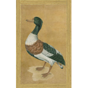 Панно Iksel, коллекция Scenic & Architectural Wallpapers, артикул Johann Walter Birds Walt5