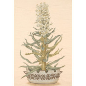 Панно Iksel, коллекция Scenic & Architectural Wallpapers, артикул Potted Flowers PF13