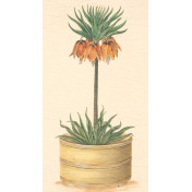 Панно Iksel, коллекция Scenic & Architectural Wallpapers, артикул Potted Flowers PF21