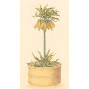 Панно Iksel, коллекция Scenic & Architectural Wallpapers, артикул Potted Flowers PF22