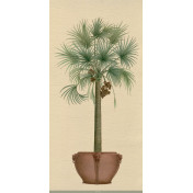 Панно Iksel, коллекция Scenic & Architectural Wallpapers, артикул Potted Palms PT01