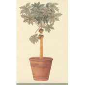 Панно Iksel, коллекция Scenic & Architectural Wallpapers, артикул Potted Palms PTT Papaya