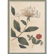 Панно Iksel, коллекция Scenic & Architectural Wallpapers, артикул Renaissance Herbier RH1