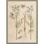 Панно Iksel, коллекция Scenic & Architectural Wallpapers, артикул Renaissance Herbier RH10