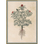 Панно Iksel, коллекция Scenic & Architectural Wallpapers, артикул Renaissance Herbier RH11