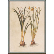 Панно Iksel, коллекция Scenic & Architectural Wallpapers, артикул Renaissance Herbier RH12