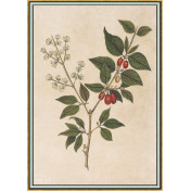 Панно Iksel, коллекция Scenic & Architectural Wallpapers, артикул Renaissance Herbier RH13