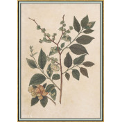 Панно Iksel, коллекция Scenic & Architectural Wallpapers, артикул Renaissance Herbier RH16