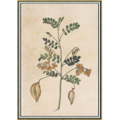 Панно Iksel, коллекция Scenic & Architectural Wallpapers, артикул Renaissance Herbier RH17