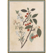 Панно Iksel, коллекция Scenic & Architectural Wallpapers, артикул Renaissance Herbier RH18