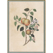 Панно Iksel, коллекция Scenic & Architectural Wallpapers, артикул Renaissance Herbier RH2