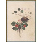 Панно Iksel, коллекция Scenic & Architectural Wallpapers, артикул Renaissance Herbier RH22