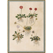 Панно Iksel, коллекция Scenic & Architectural Wallpapers, артикул Renaissance Herbier RH23