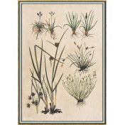 Панно Iksel, коллекция Scenic & Architectural Wallpapers, артикул Renaissance Herbier RH26