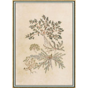 Панно Iksel, коллекция Scenic & Architectural Wallpapers, артикул Renaissance Herbier RH27