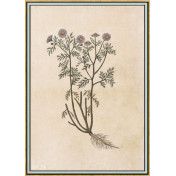 Панно Iksel, коллекция Scenic & Architectural Wallpapers, артикул Renaissance Herbier RH28