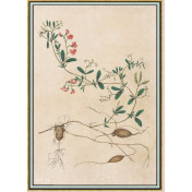 Панно Iksel, коллекция Scenic & Architectural Wallpapers, артикул Renaissance Herbier RH28-1