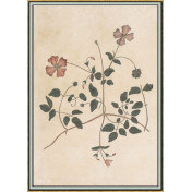 Панно Iksel, коллекция Scenic & Architectural Wallpapers, артикул Renaissance Herbier RH29