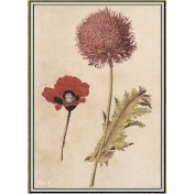 Панно Iksel, коллекция Scenic & Architectural Wallpapers, артикул Renaissance Herbier RH3