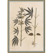 Панно Iksel, коллекция Scenic & Architectural Wallpapers, артикул Renaissance Herbier RH30