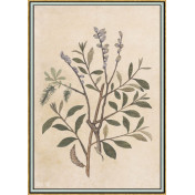 Панно Iksel, коллекция Scenic & Architectural Wallpapers, артикул Renaissance Herbier RH31