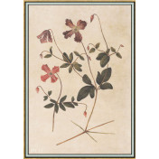 Панно Iksel, коллекция Scenic & Architectural Wallpapers, артикул Renaissance Herbier RH33