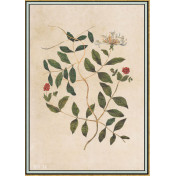 Панно Iksel, коллекция Scenic & Architectural Wallpapers, артикул Renaissance Herbier RH34