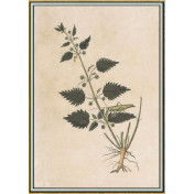 Панно Iksel, коллекция Scenic & Architectural Wallpapers, артикул Renaissance Herbier RH36