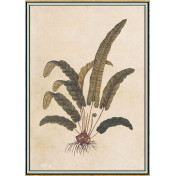 Панно Iksel, коллекция Scenic & Architectural Wallpapers, артикул Renaissance Herbier RH4