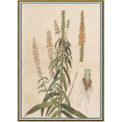 Панно Iksel, коллекция Scenic & Architectural Wallpapers, артикул Renaissance Herbier RH5