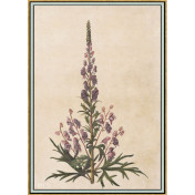 Панно Iksel, коллекция Scenic & Architectural Wallpapers, артикул Renaissance Herbier RH7