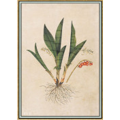 Панно Iksel, коллекция Scenic & Architectural Wallpapers, артикул Renaissance Herbier RH8