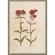 Панно Iksel, коллекция Scenic & Architectural Wallpapers, артикул Renaissance Herbier RH9