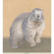 Панно Iksel, коллекция Scenic & Architectural Wallpapers, артикул Tourist Animals Marmont2