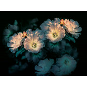 Панно Inkiostro Bianco, коллекция Inediti Cruise Collection, артикул INKGLXY1902