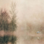 Панно Inkiostro Bianco, коллекция Omnibus, артикул INKARRR2201