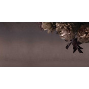 Итальянские обои Inkiostro Bianco, коллекция Story 2013/2019 Collections, артикул INKDETE1601A