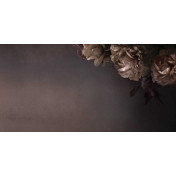 Итальянские обои Inkiostro Bianco, коллекция Story 2013/2019 Collections, артикул INKDETE1601B