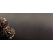 Итальянские обои Inkiostro Bianco, коллекция Story 2013/2019 Collections, артикул INKDETE1602A